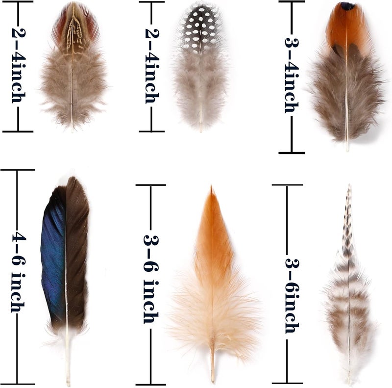Larryhot Natural Pheasant Craft Feathers - 240 pcs 6 Style Mixed Feathers for Dream Catcher Supplies,Jewelry,Hats and Jewelry Accessories (Natural) - Image 4